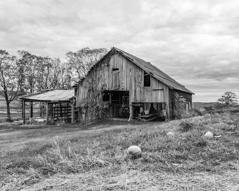 迷你倉的應用與價值：務實案例解析