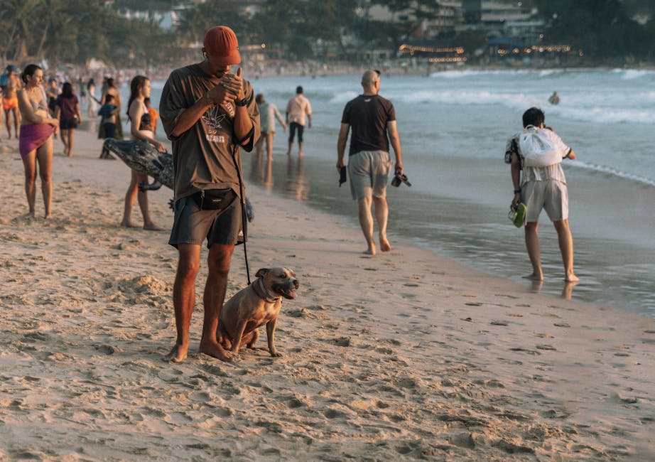 動物急症：寵物世界的緊急召喚